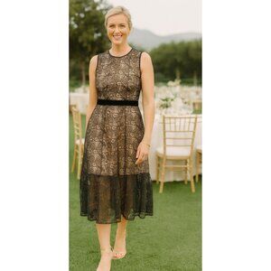 Perseverance Lace Midi Dress 10 Black Pink NEW
